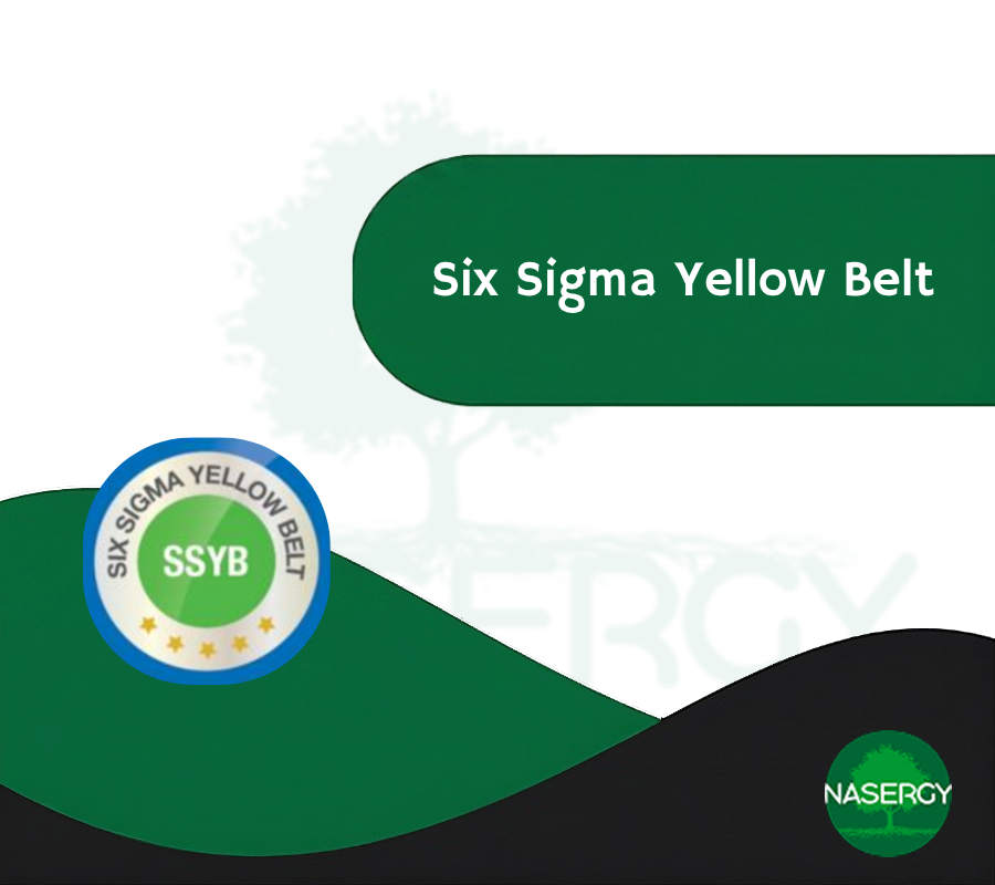 Six Sigma Yellow Belt