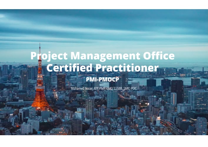 Project management fundamentals 