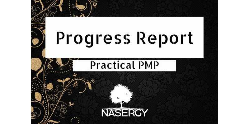 Progress Report