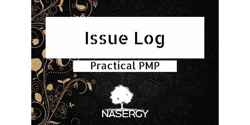 Issue Log