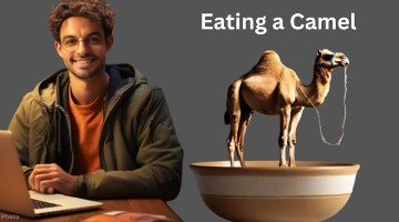 How to eat a Camel